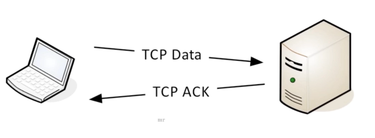 Socket网络编程(一)——网络通信入门&基本概念-Nickの博客